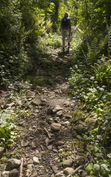 Photograph of Walking Route - Image 34