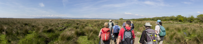 Photograph of Walking Route - Image 35
