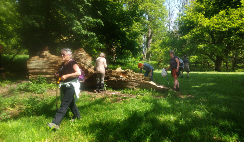 Photograph of Walking Route - Image 13
