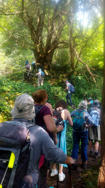Photograph of Walking Route - Image 22