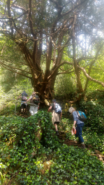 Photograph of Walking Route - Image 23