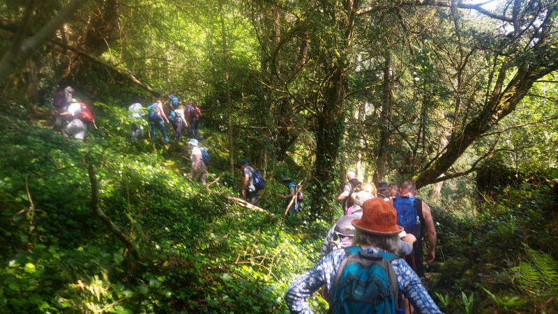 Photograph of Walking Route - Image 24