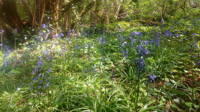 Photograph of Walking Route - Image 28