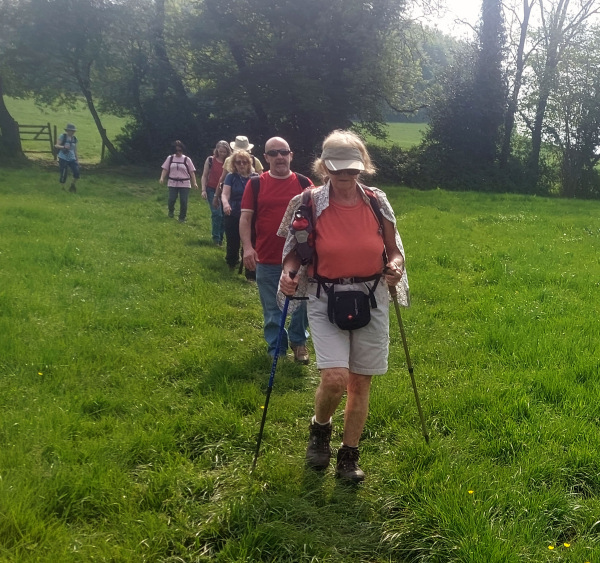 Photograph of Walking Route - Image 30