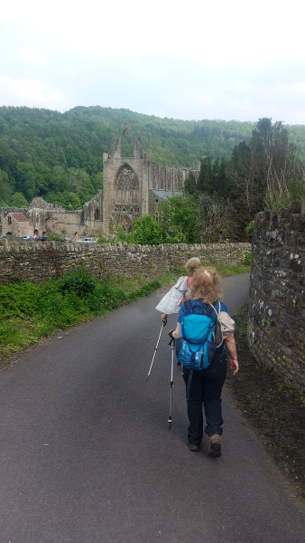 Photograph of Walking Route - Image 34