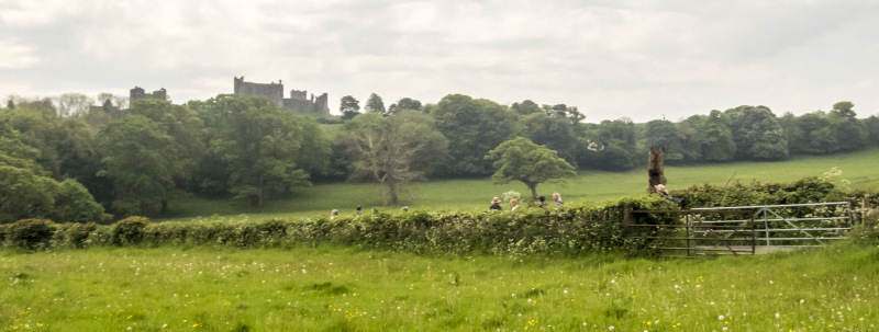 Photograph of Walking Route - Image 5