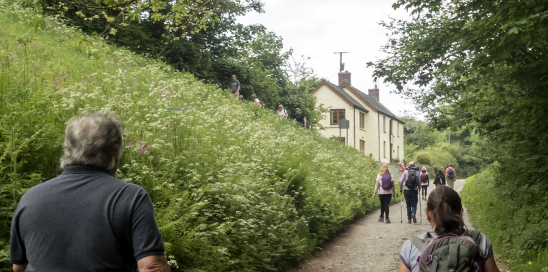 Photograph of Walking Route - Image 6