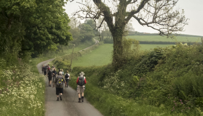 Photograph of Walking Route - Image 18
