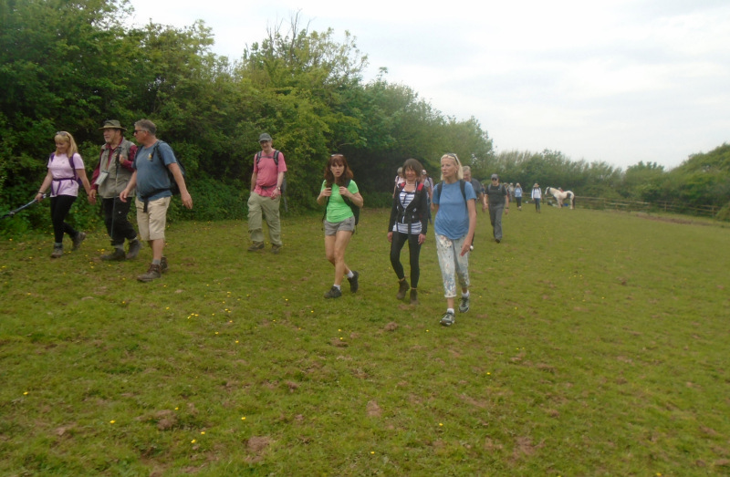 Photograph of Walking Route - Image 23