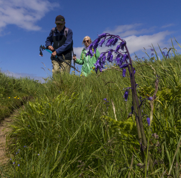 Photograph of Walking Route - Image 8