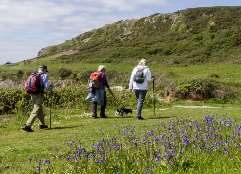 Photograph of Walking Route - Image 21