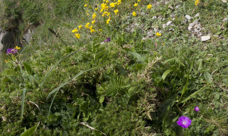 Photograph of Walking Route - Image 24
