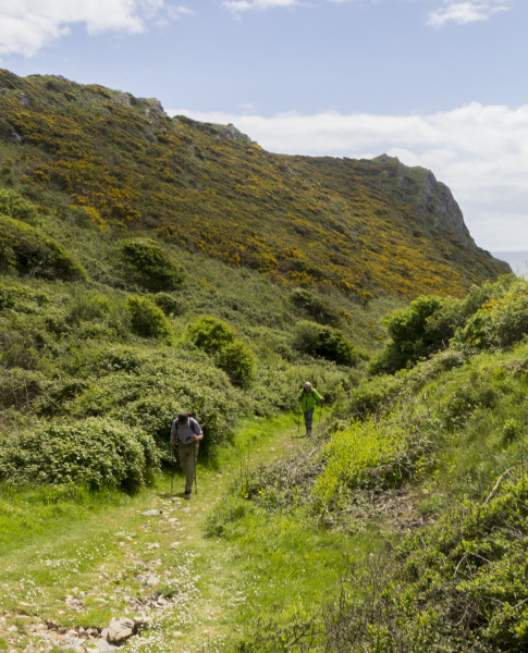 Photograph of Walking Route - Image 28