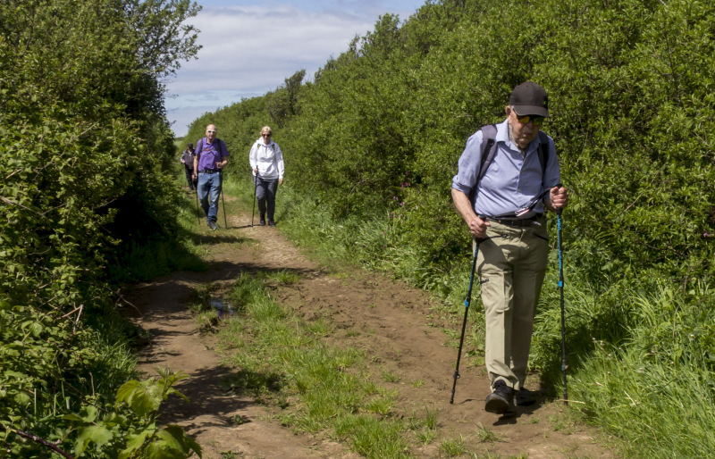 Photograph of Walking Route - Image 29