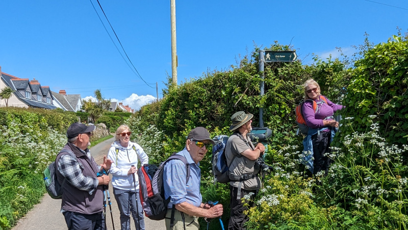Photograph of Walking Route - Image 35