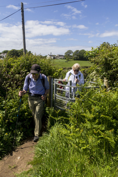Photograph of Walking Route - Image 36