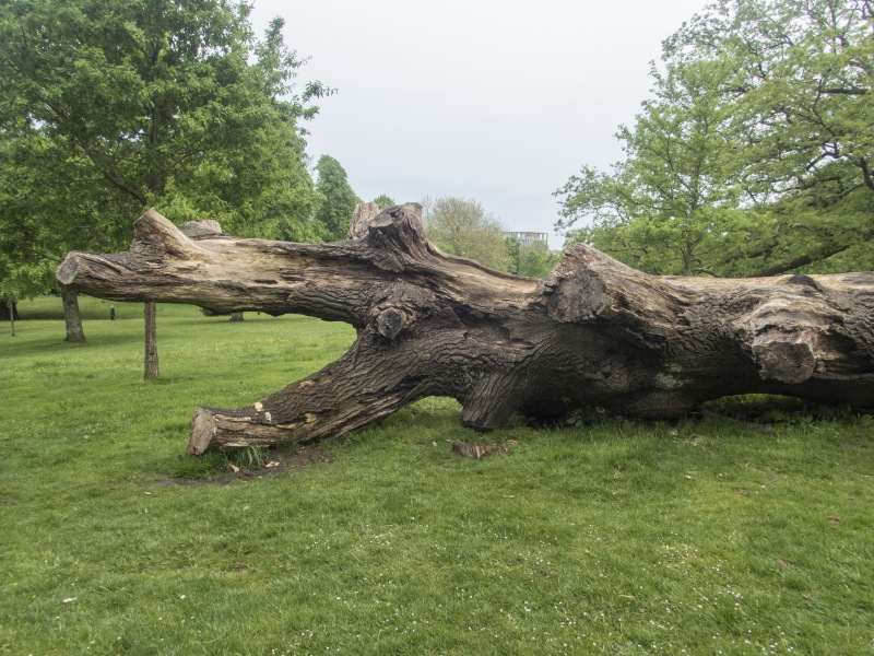 Photograph of Walking Route - Image 8