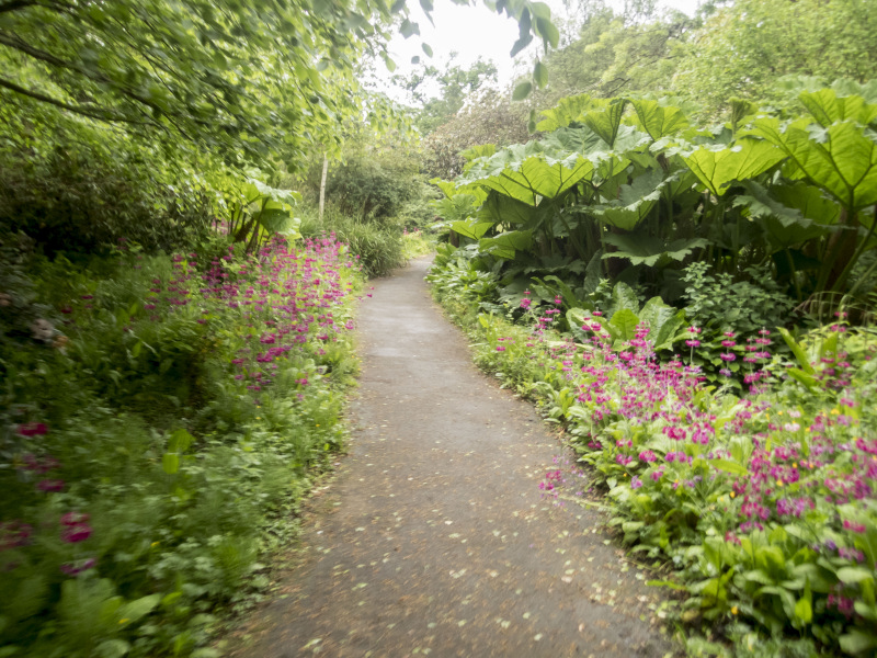 Photograph of Walking Route - Image 13