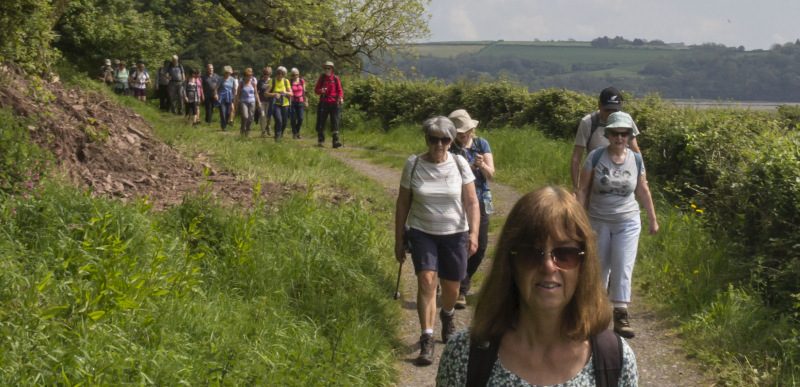 Photograph of Walking Route - Image 8