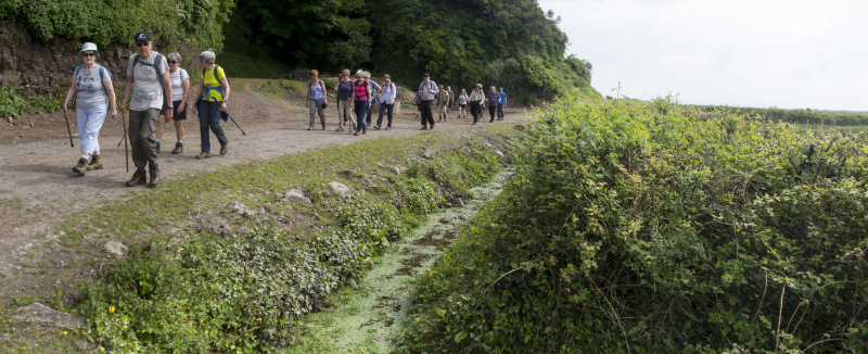 Photograph of Walking Route - Image 9