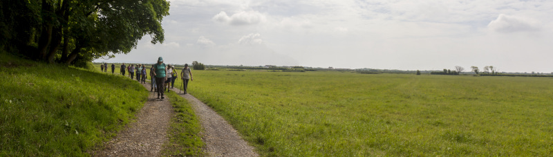 Photograph of Walking Route - Image 12