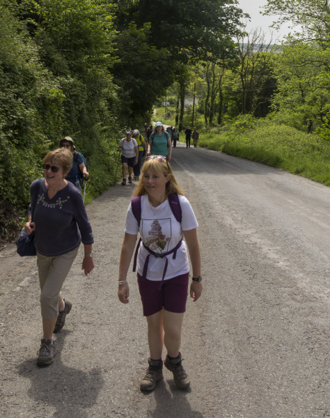 Photograph of Walking Route - Image 13