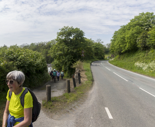 Photograph of Walking Route - Image 15