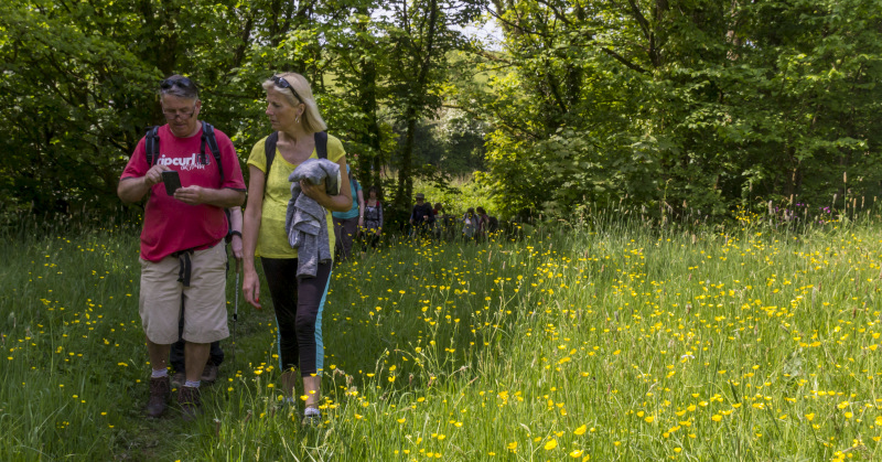 Photograph of Walking Route - Image 16