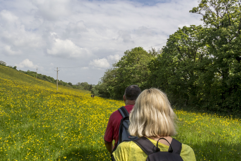 Photograph of Walking Route - Image 18