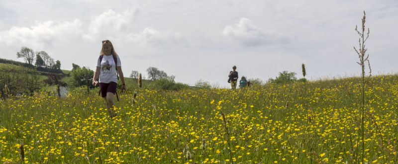 Photograph of Walking Route - Image 19