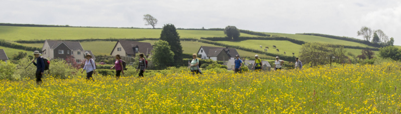 Photograph of Walking Route - Image 22