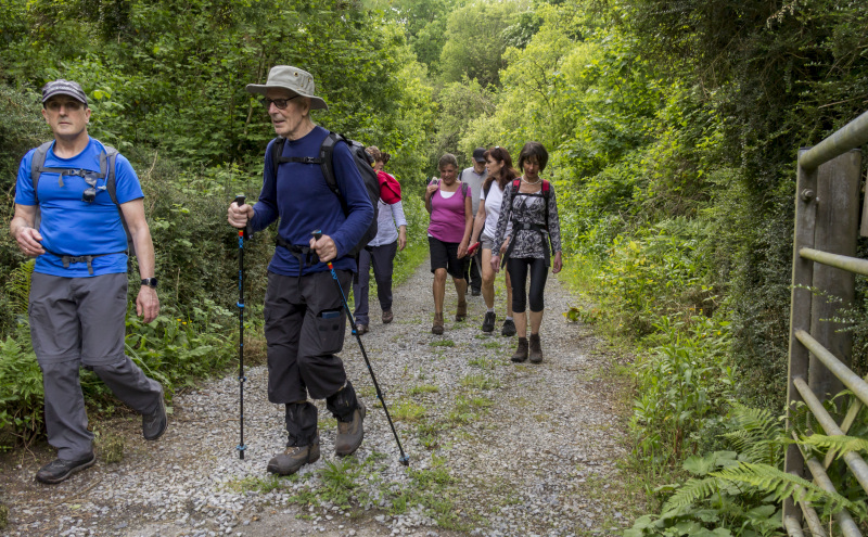 Photograph of Walking Route - Image 23