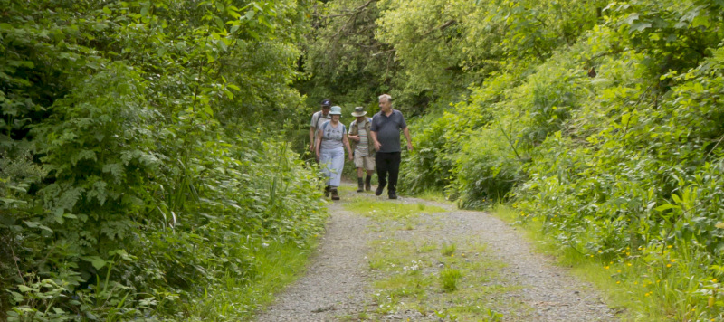 Photograph of Walking Route - Image 24