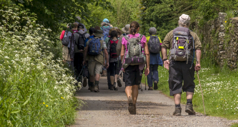 Photograph of Walking Route - Image 29