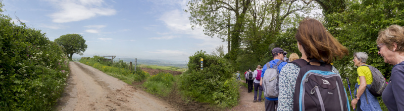 Photograph of Walking Route - Image 31