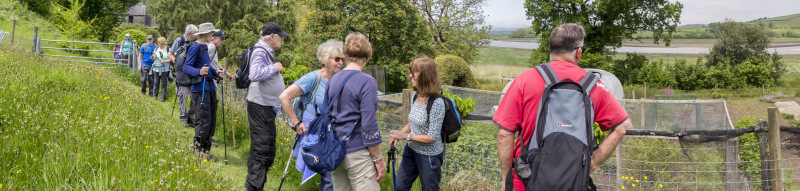 Photograph of Walking Route - Image 33
