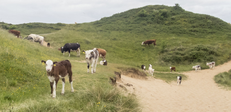 Photograph of Walking Route - Image 9