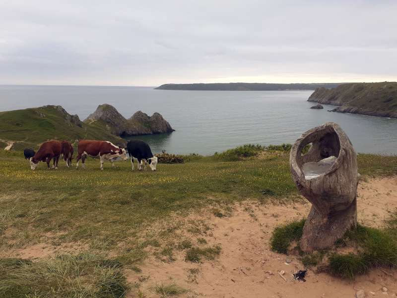 Photograph of Walking Route - Image 15