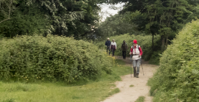 Photograph of Walking Route - Image 22