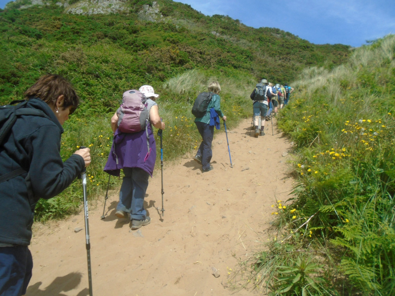 Photograph of Walking Route - Image 33