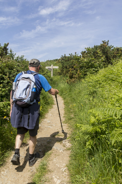 Photograph of Walking Route - Image 35