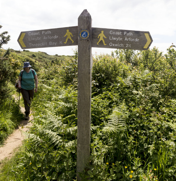 Photograph of Walking Route - Image 37