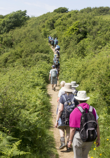 Photograph of Walking Route - Image 41