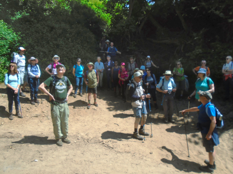 Photograph of Walking Route - Image 45