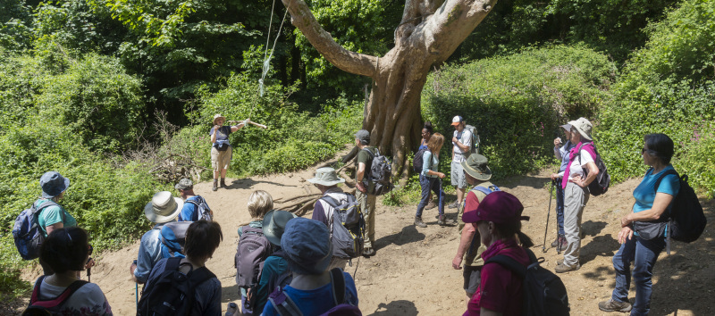 Photograph of Walking Route - Image 46