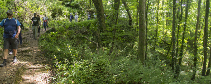 Photograph of Walking Route - Image 49