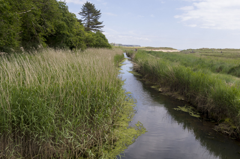Photograph of Walking Route - Image 52