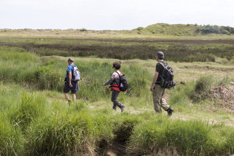 Photograph of Walking Route - Image 53