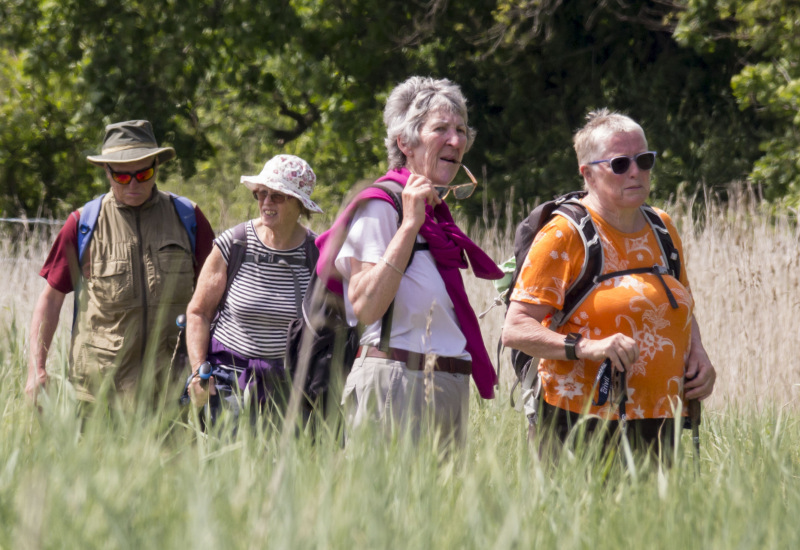 Photograph of Walking Route - Image 56
