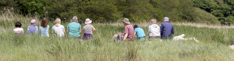 Photograph of Walking Route - Image 57